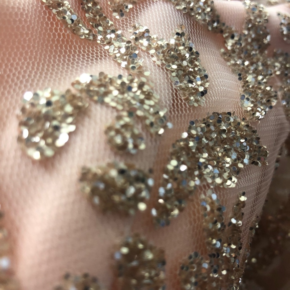 Mother of the Bride peach Chiffon gown by Cameron Blake - Picture 9 of 16